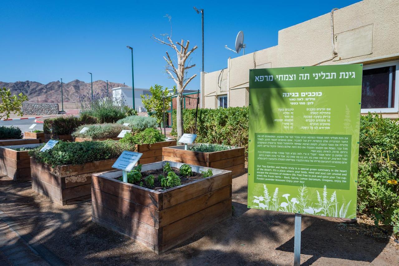 Eilot Kibbutz Country Lodging Ελάτ Εξωτερικό φωτογραφία